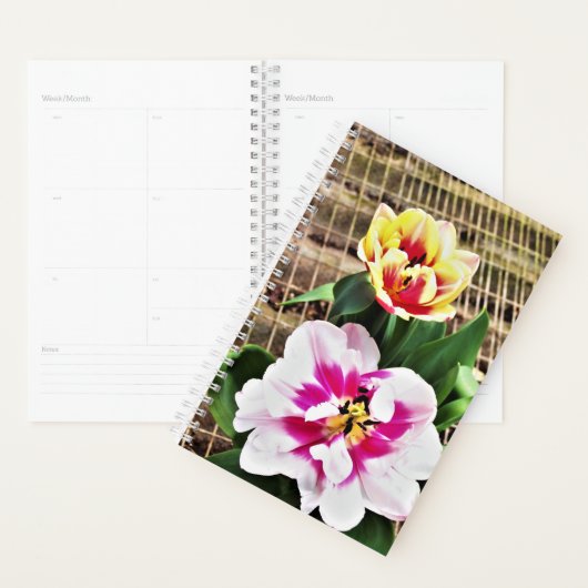 SM Planner Roze/Gele Tulpen (Display)