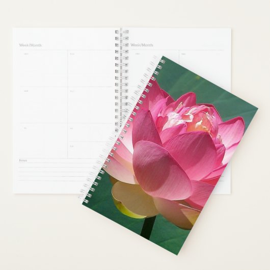 SM Planner Roze Lotus (Display)