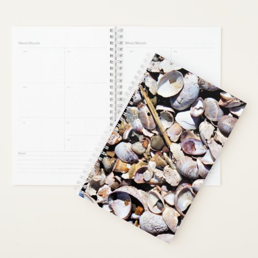 SM Planner schelpen (Display)