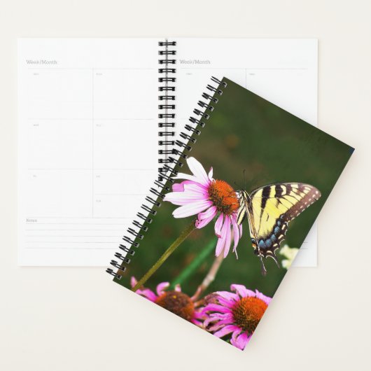 SM Planner Tijger Swallowtail op Coneflower (Display)