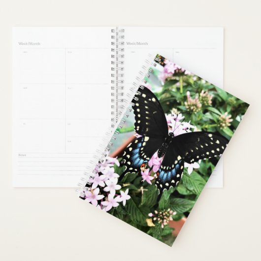 SM Planner Zwart Swallowtail (Display)