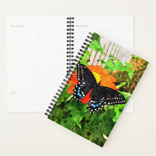 SM Planner Zwart Swallowtail Graphic (Display)