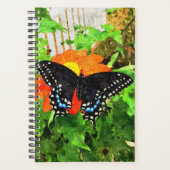 SM Planner Zwart Swallowtail Graphic (Voorkant)