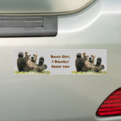 Smaak beren bumpersticker (Op auto)