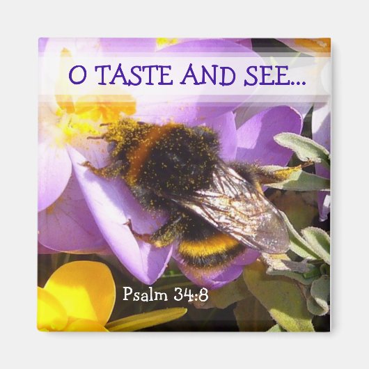 SMAAK EN SEE! ~ Magnet (Voorkant)