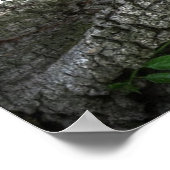 Smaak en zie Inspirerend Bijbelcitaat Poster (Hoek)