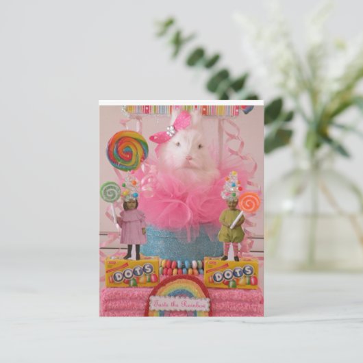 Smaak het regenboogBriefkaart Briefkaart (Staand voorkant)