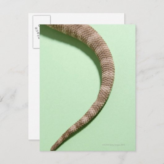 Smaak van bebaarddraak briefkaart (Voorkant / Achterkant)