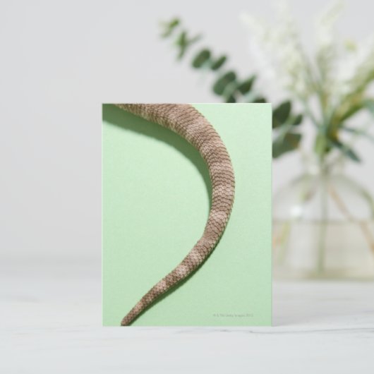 Smaak van bebaarddraak briefkaart (Staand voorkant)