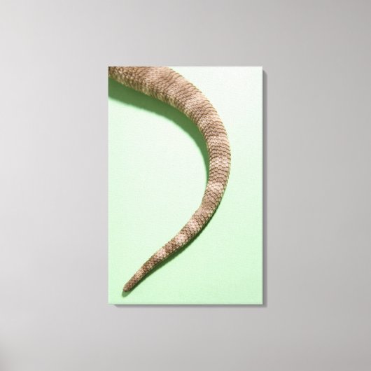 Smaak van bebaarddraak canvas afdruk (Voorkant)