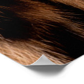 Smaak van de huid van de luipaard : Sluiten van de Poster (Hoek)