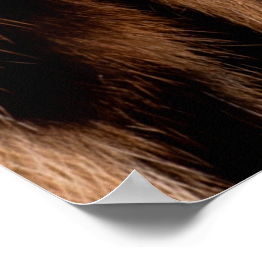 Smaak van de huid van de luipaard : Sluiten van de Poster (Hoek)