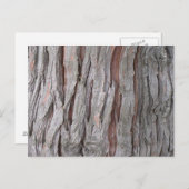 Smaak van de schors van de Cedar-boom Briefkaart (Voorkant / Achterkant)