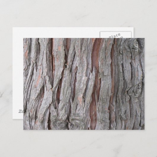 Smaak van de schors van de Cedar-boom Briefkaart (Voorkant / Achterkant)