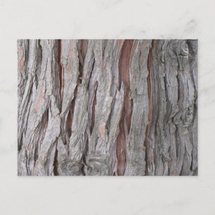 Smaak van de schors van de Cedar-boom Briefkaart