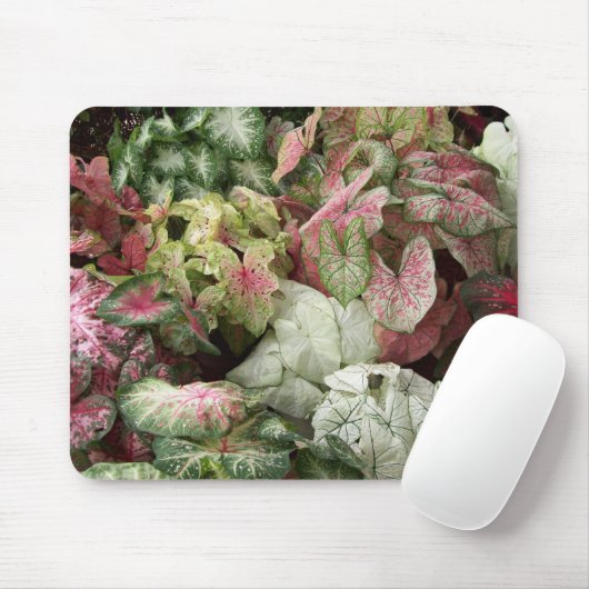 Smaak van de tropen muismat (Met muis)