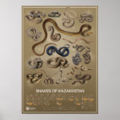 Smaak van het Kazachse poster (Voorkant)