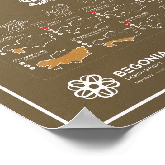 Smaak van het Kazachse poster (Hoek)