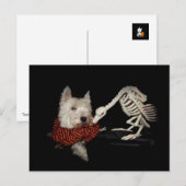 Smaakt naar kip, gier & westie briefkaart (Voorkant / Achterkant)