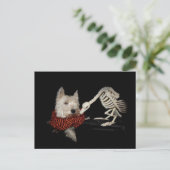 Smaakt naar kip, gier & westie briefkaart (Staand voorkant)