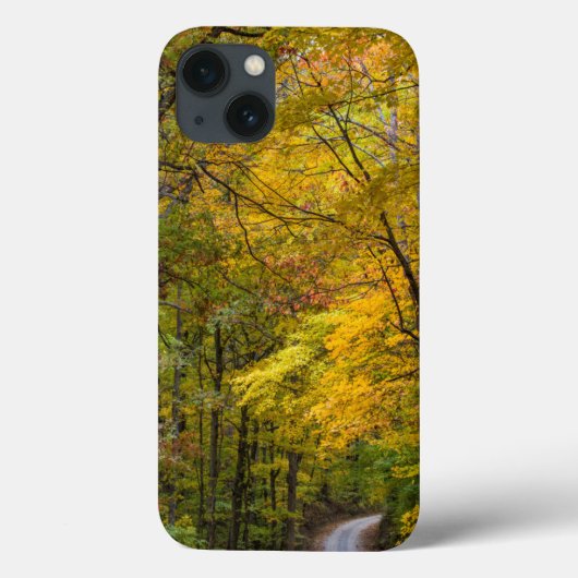 Smal grindweg omzoomd door herfstkleuren Case-Mate iPhone case (Achterkant)