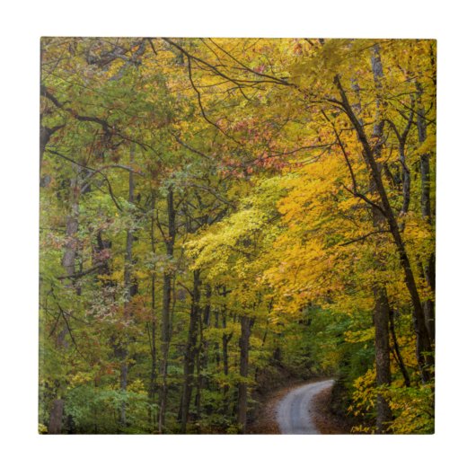 Smal grindweg omzoomd met herfstkleuren tegeltje (Voorkant)