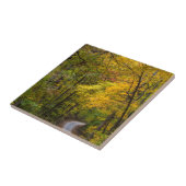 Smal grindweg omzoomd met herfstkleuren tegeltje (Zijkant)