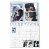 Small Berner Nation Babes 2017 Calender Kalender (Jan 2027)