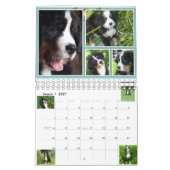 Small Berner Nation Babes 2017 Calender Kalender (Mar 2027)