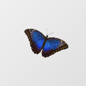 Small Blue Morpho Butterfly Window Cling Raamsticker (Vel)
