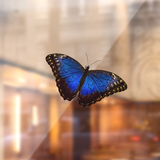 Small Blue Morpho Butterfly Window Cling Raamsticker (Vel 2)