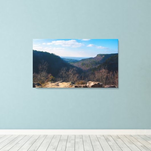 Small Canyon, Petit Jean State Park, Arkansas Canvas Afdruk (Insitu (Houten vloer))