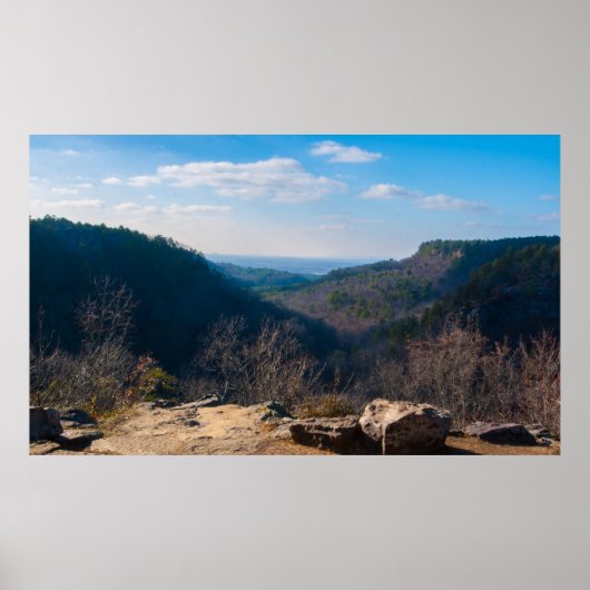 Small Canyon, Petit Jean State Park, Arkansas Poster (Voorkant)