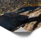 Small Canyon, Petit Jean State Park, Arkansas Poster (Hoek)