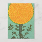 Small Clive Album | A Marigold Briefkaart (Voorkant)