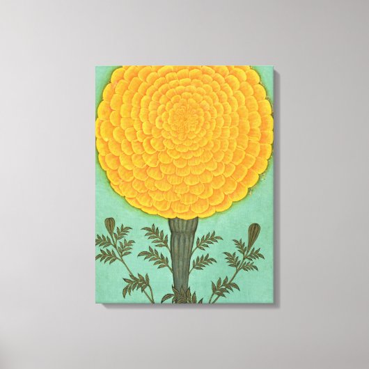 Small Clive Album | A Marigold Canvas Afdruk (Voorkant)