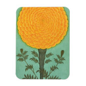 Small Clive Album | A Marigold Magneet (Verticaal)