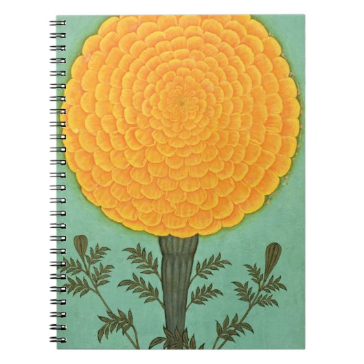 Small Clive Album | A Marigold Notitieboek (Voorkant)