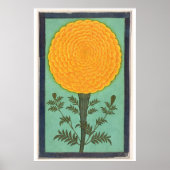 Small Clive Album | A Marigold Poster (Voorkant)