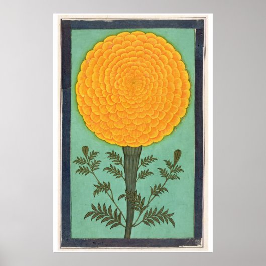 Small Clive Album | A Marigold Poster (Voorkant)