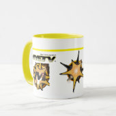 Small Combo Mok 300gr. (wit en geel) (Voorkant links)