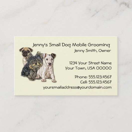 Small Dog Mobile Grooming 2012 Calendar Business C Visitekaartje (Voorkant)