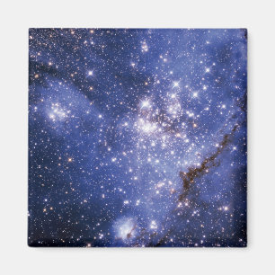 Small Magellanic Cloud Magneet