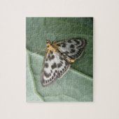 Small Magpie Mot Puzzel (Verticaal)