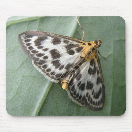 Small Magpie Moth Mousepad Muismat (Voorkant)