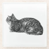 Small Pause, Tabby Poise Glazen Onderzetter (Voorkant)