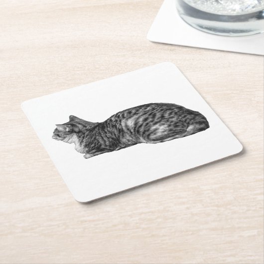 Small Pause, Tabby Poise Kartonnen Onderzetters (Schuin)