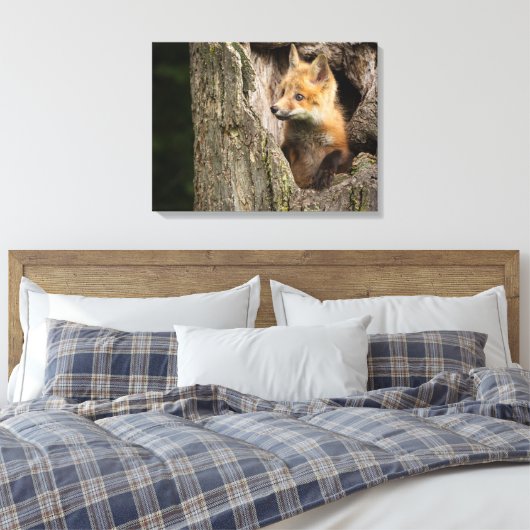 Small Red Fox in a Tree Hollow Canvas Afdruk (Insitu (Slaapkamer))