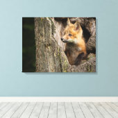 Small Red Fox in a Tree Hollow Canvas Afdruk (Insitu (Houten vloer))