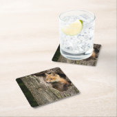 Small Red Fox in a Tree Hollow Kartonnen Onderzetters (Insitu)